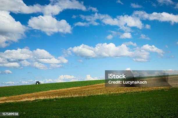 Field Arbeit Stockfoto und mehr Bilder von Agrarbetrieb - Agrarbetrieb, Arbeiten, Berufliche Beschäftigung
