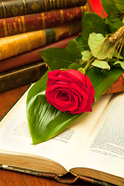 istock Red rose and old books 157589939