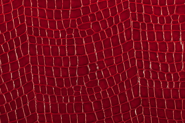 Textured background of genuine leather in lizard skin pattern.