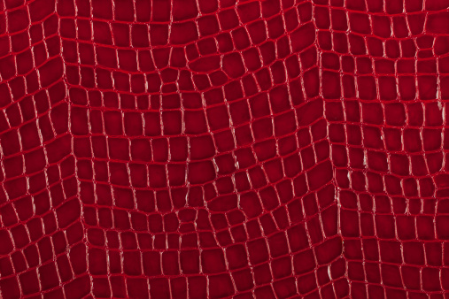 Textured background of genuine leather in lizard skin pattern.