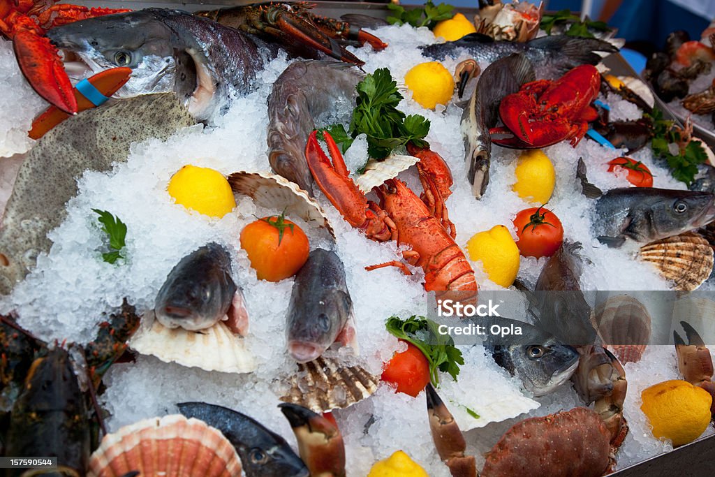 Exibição de frutos do mar no gelo - Foto de stock de Lagosta - Marisco royalty-free
