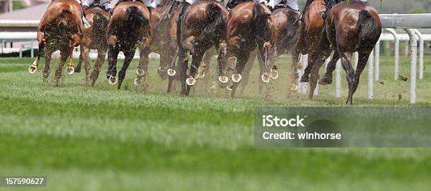 Horse Running Stock Photo - Download Image Now - Horse Racing, Horse, Jockey