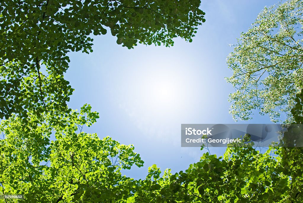 Cielo despejado - Foto de stock de Cielo libre de derechos