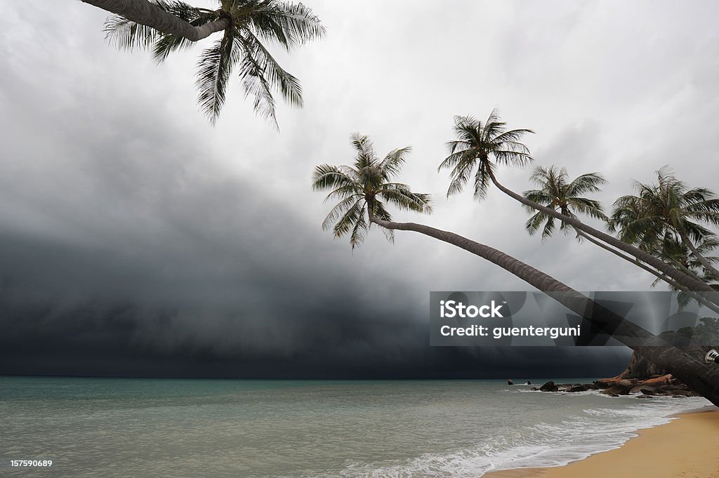 Some minutes before the Typhoon  Tropical Storm Stock Photo