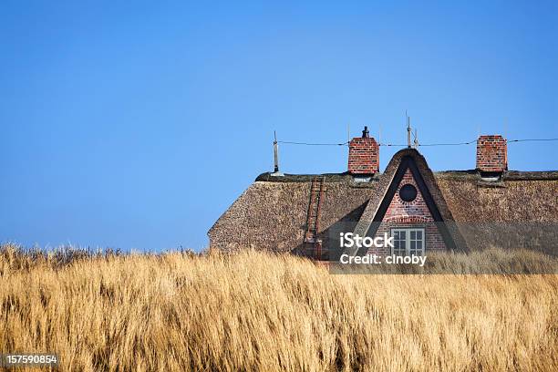 Techo De Paja Reetdach Foto de stock y más banco de imágenes de Isla de Sylt - Isla de Sylt, Tejado de Paja, Chalet veraniego