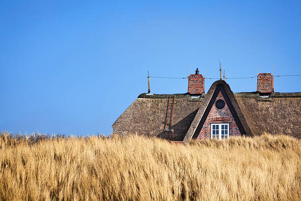 Thatched  Roof ( Reetdach ) thatched house behind a dune on Sylt - Germany thatched roof stock pictures, royalty-free photos & images