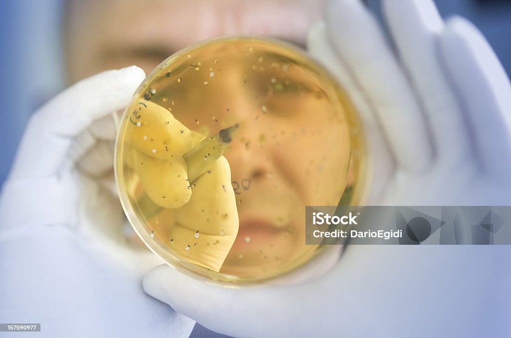 Chimico counting batteri in una diapositiva, all'interno di un laboratorio di ricerca - Foto stock royalty-free di Adulto