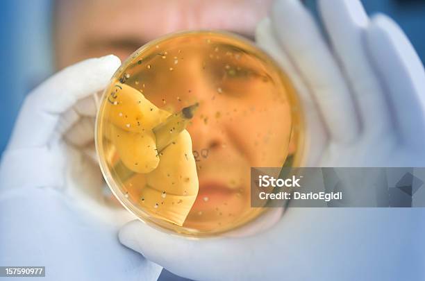 Chimico Counting Batteri In Una Diapositiva Allinterno Di Un Laboratorio Di Ricerca - Fotografie stock e altre immagini di Adulto