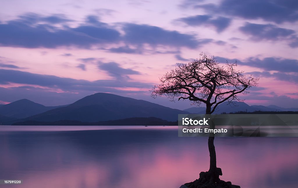 Milarrochy Bay, Loch Lomond o zachodzie słońca. - Zbiór zdjęć royalty-free (Jezioro Loch Lomond)