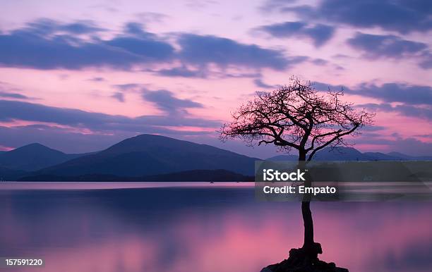 Milarrochy Bay Loch Lomond O Zachodzie Słońca - zdjęcia stockowe i więcej obrazów Jezioro Loch Lomond - Jezioro Loch Lomond, Pojedyncze drzewo, Chmura