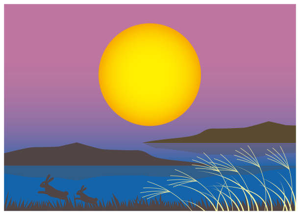istock Moon viewing of dumplings and pampas grass, night sky background 1575913160