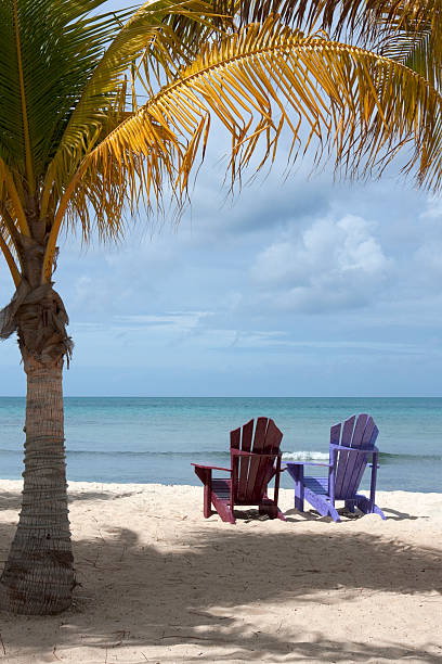istock Aruban beach with two adirondack chairs under palm 157591469