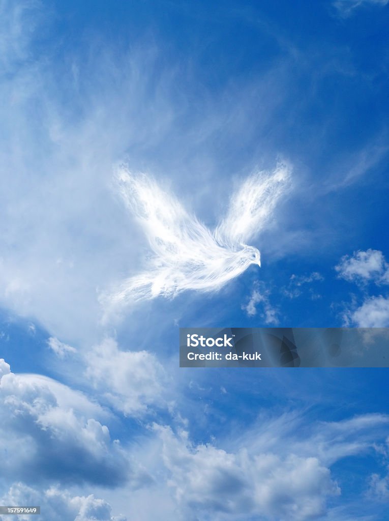 Wings of freedom  Dove - Bird Stock Photo