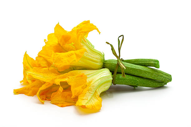 zucchini mit blumen - squash flower stock-fotos und bilder