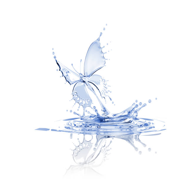 istock Splash Of Water Butterfly 157592402