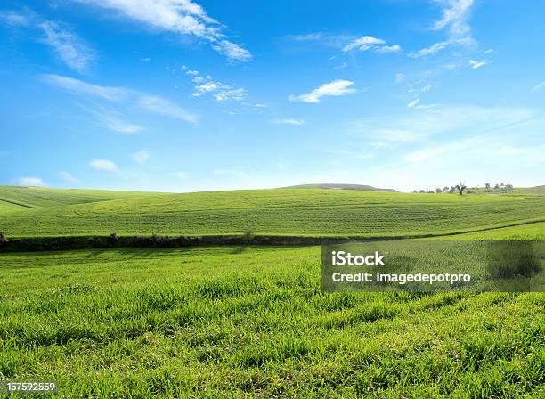 Verde Paisaje Foto de stock y más banco de imágenes de Viento - Viento, Imagen minimalista, Cielo