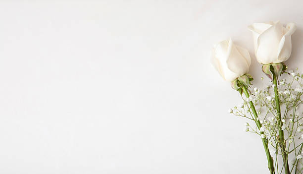 faire-part de mariage blanc rose - gypsophila photos et images de collection