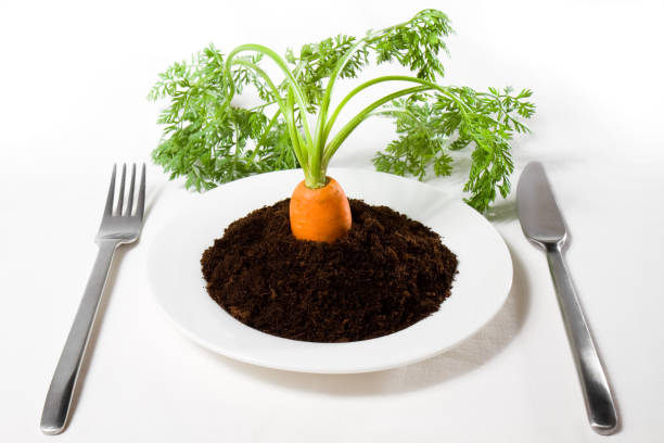 A carrot with stems and leaves growing from small heap of soil on a white plate. Fork and knife are laid out left and right. A white table-cloth is beneath.