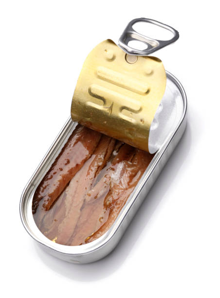 istock Anchovies in a Can 157593817