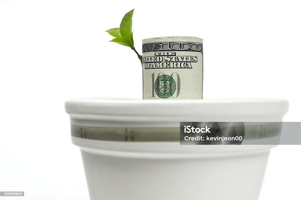 Money tree Conceptual image of hundred dollar bills growing in a pot isolated on a white background.  401k - Single Word Stock Photo