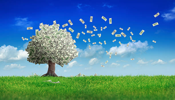 falling dollar bills from money tree  money tree in green field over clear sky.  revenue photos stock pictures, royalty-free photos & images