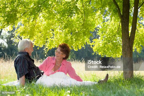 Foto De Una Pareja Mayor Sentado En El Césped En Copas De Los Árboles Foto de stock y más banco de imágenes de Sombra