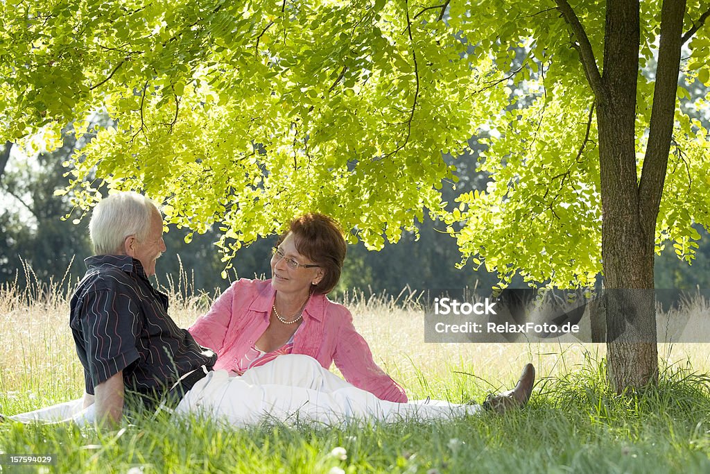 Amoroso Casal Idoso sentado na grama sob Coberto florestal - Royalty-free Sombra Foto de stock