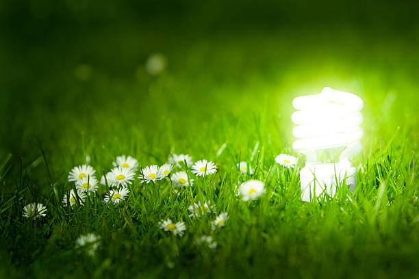 rozjarzony oszczędności energii żarówka z zielonej trawie. - fluorescent light resourceful energy fuel and power generation zdjęcia i obrazy z banku zdjęć