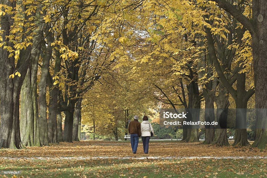 Rückansicht auf altes Paar unter dem Blätterdach im Herbst - Lizenzfrei Gehen Stock-Foto