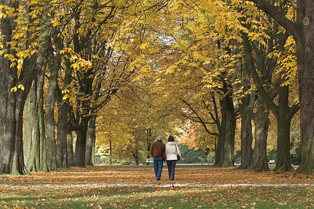 istock Rear view on senior couple under tree canopy in autumn 157594267