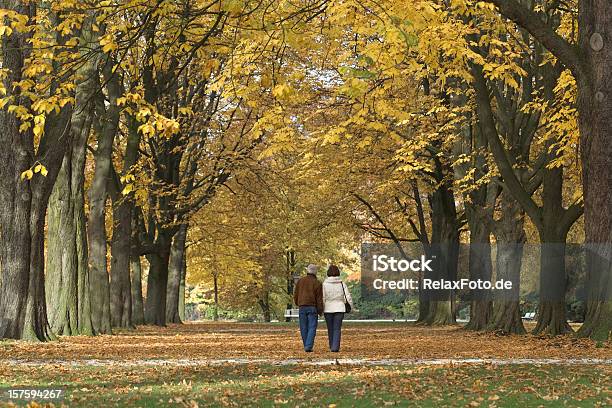 Widok Z Tyłu Starsza Para Pod Baldachim Drzew W Jesiennym - zdjęcia stockowe i więcej obrazów Dojrzała para