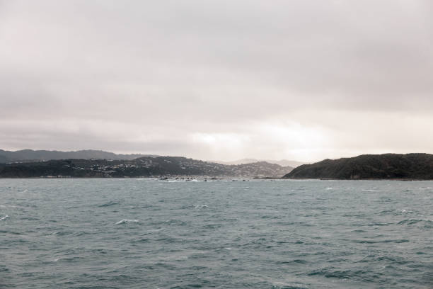 An image taken off a boat looking back into Wellington city.