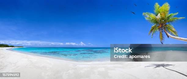 Virgin Tropical Playa De Arena Blanca Foto de stock y más banco de imágenes de Playa - Playa, Palmera, Panorámica