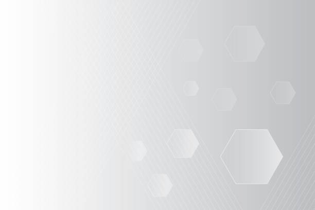 istock Abstract  white and gray color, modern design stripes background with geometric hexagonal shape, straight line pattern. Vector illustration. 1575958294