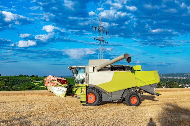 istock Grain harvesting combine in summer at corn field 1575959885