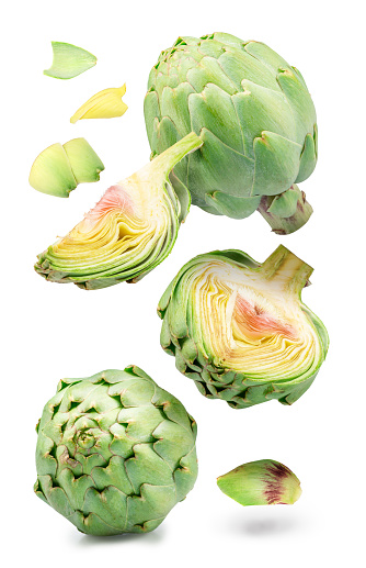 Green french artichoke and artichoke slices flying or levitating in the air. Clipping path.