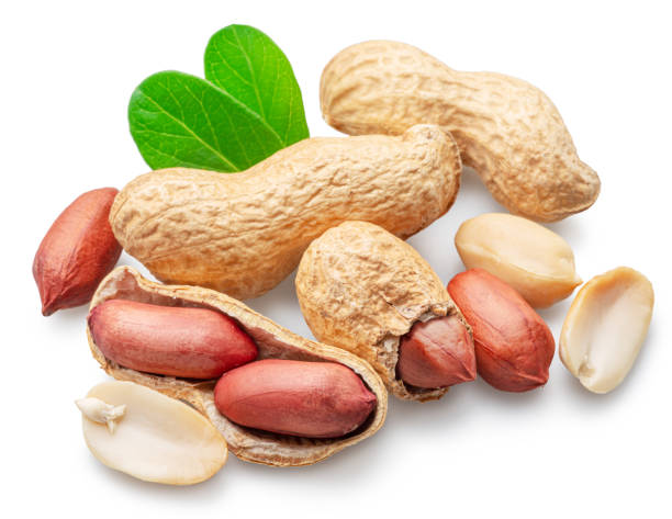 istock Peanut or groundnut whole and cracked on white background. Clipping path. 1575979185