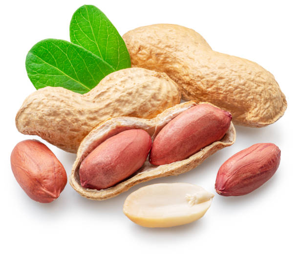 istock Peanut or groundnut whole and cracked on white background. Clipping path. 1575979190