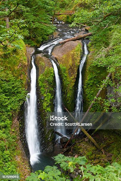 Tripla Cascata Nella Gola Del Fiume Columbia - Fotografie stock e altre immagini di Acqua - Acqua, Ambientazione esterna, Bellezza naturale