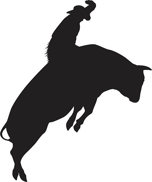 illustrazioni stock, clip art, cartoni animati e icone di tendenza di silhouette bullrider - rodeo bull bull riding cowboy