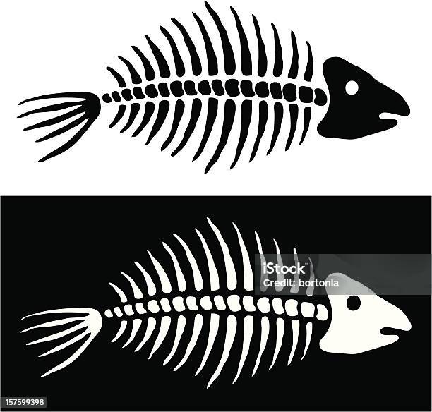 Fisch Knochen Stock Vektor Art und mehr Bilder von Fossil - Fossil, Fisch, Tierischer Rückenwirbel