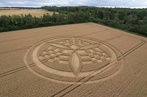 A Hampshire crop circle in a field of wheat