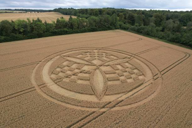 Hampshire Crop Circle A Hampshire crop circle in a field of wheat crop circle stock pictures, royalty-free photos & images