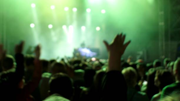 istock Crowd Partying At Live Music Concert 1576008908