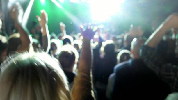istock Crowd Partying At Live Music Concert 1576009420