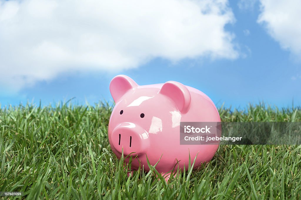 Piggybank em campo - Foto de stock de Bringing Home The Bacon-provérbio em inglês royalty-free