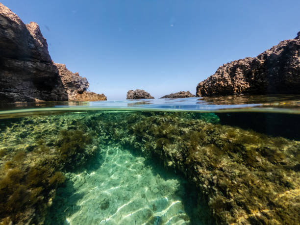 istock Half underwater of the clear azure sea 1576015957
