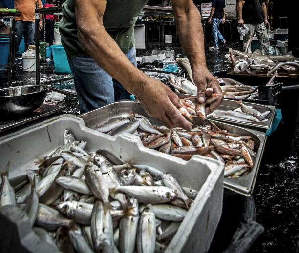 istock Fresh fish for sale at La Pescheria. 1576016223