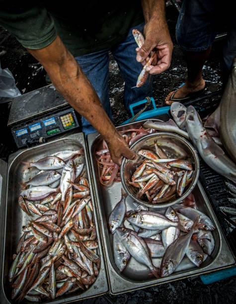 istock Fresh fish for sale at La Pescheria. 1576016269