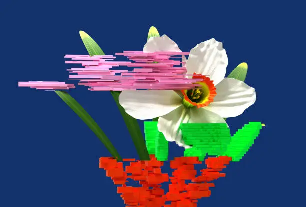 3d glitch of flower narcissus. NFT concept. 3d illustration.